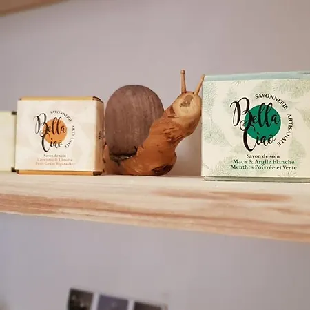 Apartment Le Romantique Dijonspa